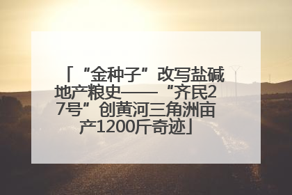 “金种子”改写盐碱地产粮史——“齐民27号”创黄河三角洲亩产1200斤奇迹