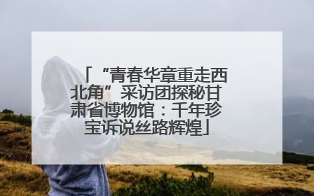 “青春华章重走西北角”采访团探秘甘肃省博物馆：千年珍宝诉说丝路辉煌