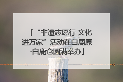 “非遗志愿行 文化进万家”活动在白鹿原·白鹿仓圆满举办