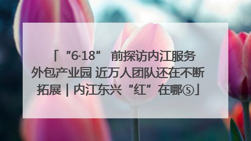 “6·18” 前探访内江服务外包产业园 近万人团队还在不断拓展｜内江东兴“红”在哪⑤