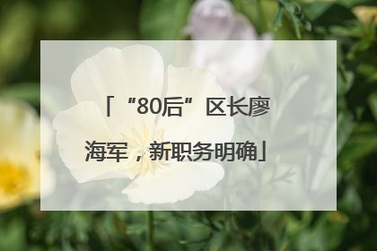 “80后”区长廖海军，新职务明确