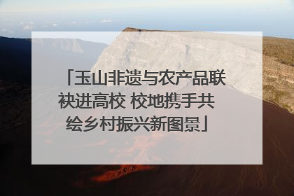 玉山非遗与农产品联袂进高校 校地携手共绘乡村振兴新图景