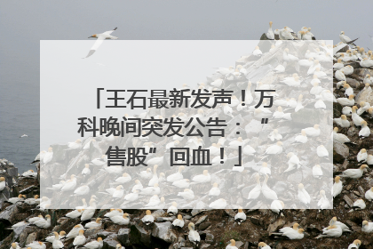 王石最新发声！万科晚间突发公告：“售股”回血！