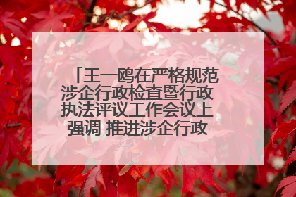 王一鸥在严格规范涉企行政检查暨行政执法评议工作会议上强调 推进涉企行政检查质效大幅提升