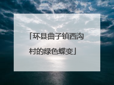 环县曲子镇西沟村的绿色蝶变