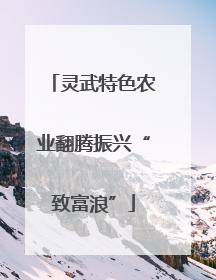 灵武特色农业翻腾振兴“致富浪”