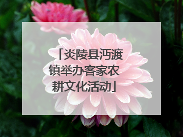 炎陵县沔渡镇举办客家农耕文化活动