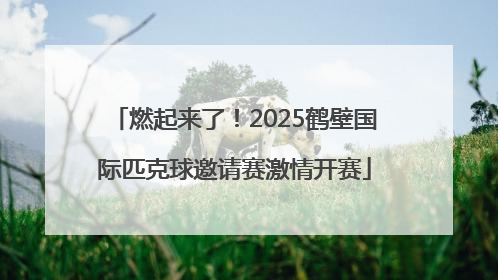 燃起来了！2025鹤壁国际匹克球邀请赛激情开赛