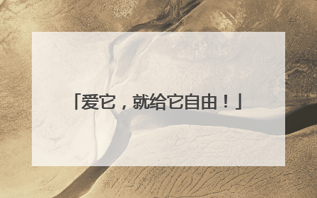 爱它，就给它自由！