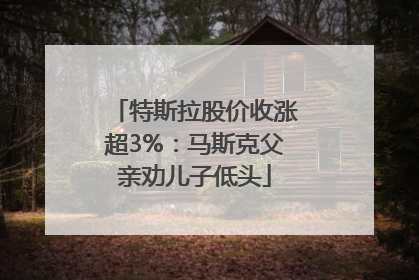 特斯拉股价收涨超3%：马斯克父亲劝儿子低头