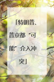 特朗普、普京都“可能”介入冲突