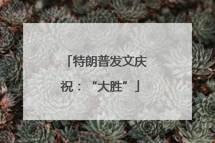 特朗普发文庆祝：“大胜”
