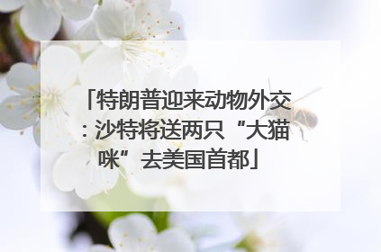 特朗普迎来动物外交：沙特将送两只“大猫咪”去美国首都