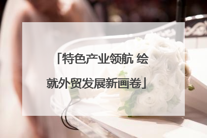 特色产业领航 绘就外贸发展新画卷