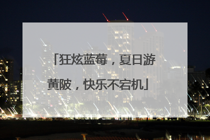 狂炫蓝莓，夏日游黄陂，快乐不宕机