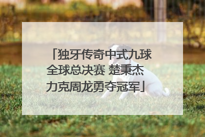 独牙传奇中式九球全球总决赛 楚秉杰力克周龙勇夺冠军