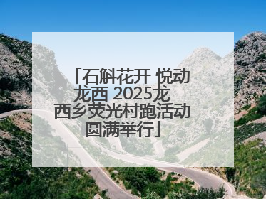 石斛花开 悦动龙西 2025龙西乡荧光村跑活动圆满举行