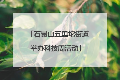 石景山五里坨街道举办科技周活动