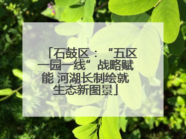 石鼓区：“五区一园一线”战略赋能 河湖长制绘就生态新图景