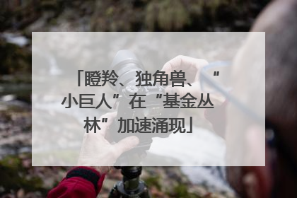 瞪羚、独角兽、“小巨人”在“基金丛林”加速涌现