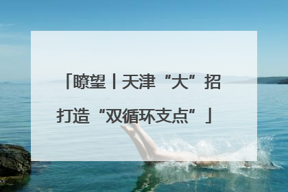 瞭望丨天津“大”招打造“双循环支点”