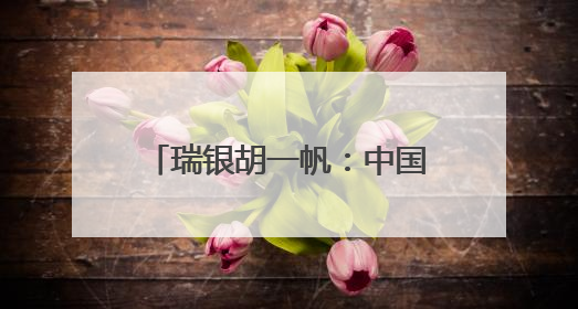 瑞银胡一帆：中国经济总体具有韧性，看好中国科技行业