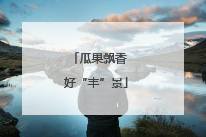 瓜果飘香 好“丰”景