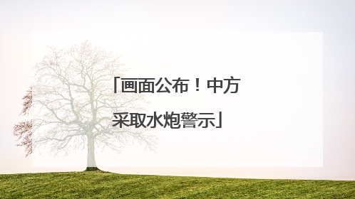 画面公布！中方采取水炮警示