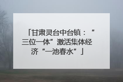 甘肃灵台中台镇：“三位一体”激活集体经济“一池春水”