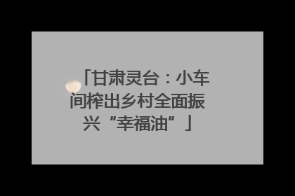 甘肃灵台：小车间榨出乡村全面振兴“幸福油”