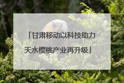 甘肃移动以科技助力天水樱桃产业再升级