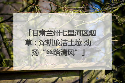 甘肃兰州七里河区烟草：深耕廉洁土壤 劲扬“丝路清风”