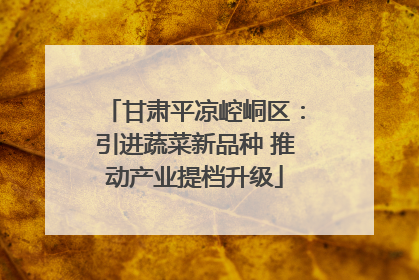 甘肃平凉崆峒区：引进蔬菜新品种 推动产业提档升级