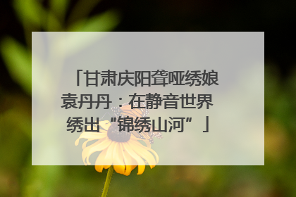 甘肃庆阳聋哑绣娘袁丹丹：在静音世界绣出“锦绣山河”