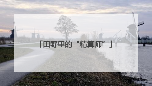 田野里的“精算师”