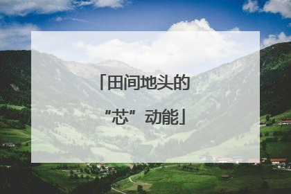 田间地头的“芯”动能