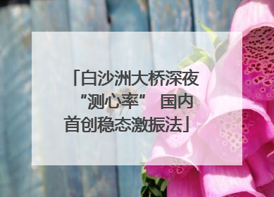 白沙洲大桥深夜“测心率” 国内首创稳态激振法