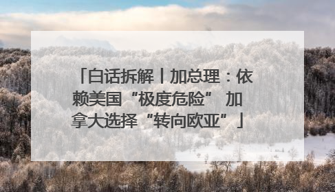 白话拆解丨加总理：依赖美国“极度危险” 加拿大选择“转向欧亚”