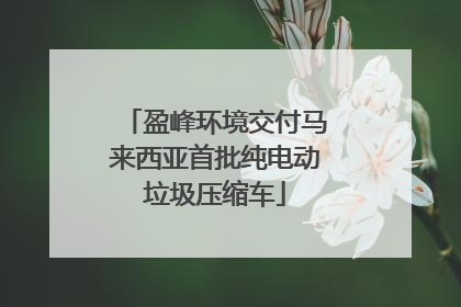 盈峰环境交付马来西亚首批纯电动垃圾压缩车
