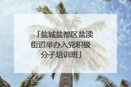 盐城盐都区盐渎街道举办入党积极分子培训班