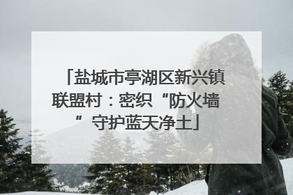 盐城市亭湖区新兴镇联盟村：密织“防火墙”守护蓝天净土