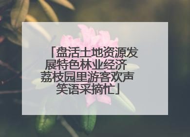 盘活土地资源发展特色林业经济 荔枝园里游客欢声笑语采摘忙