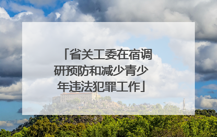 省关工委在宿调研预防和减少青少年违法犯罪工作