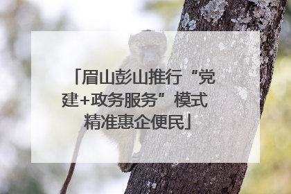 眉山彭山推行“党建+政务服务”模式 精准惠企便民