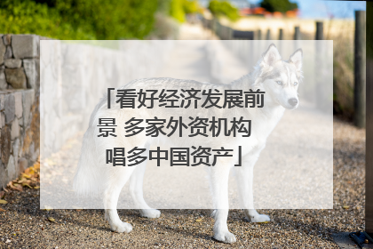 看好经济发展前景 多家外资机构唱多中国资产