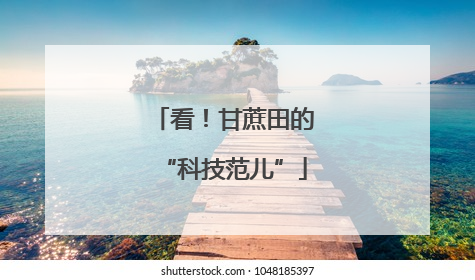 看！甘蔗田的“科技范儿”