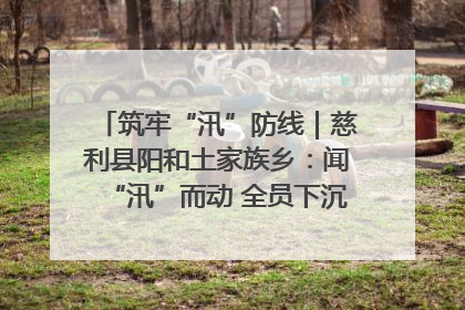 筑牢“汛”防线｜慈利县阳和土家族乡：闻“汛”而动 全员下沉筑牢防汛“安全堤”