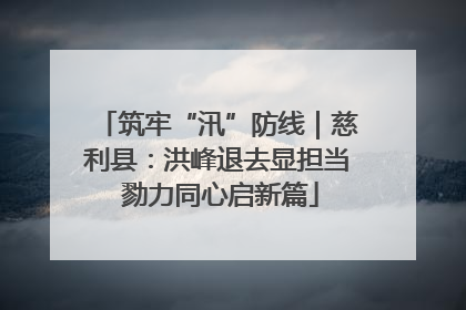 筑牢“汛”防线｜慈利县：洪峰退去显担当 勠力同心启新篇