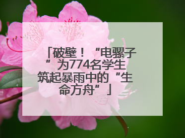 破壁！“电骡子”为774名学生筑起暴雨中的“生命方舟”