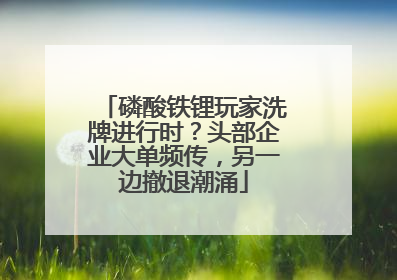 磷酸铁锂玩家洗牌进行时？头部企业大单频传，另一边撤退潮涌